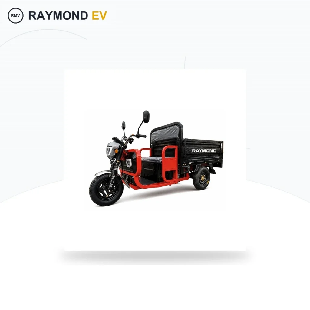 Raymon Cargo Electric Tricycle 0176