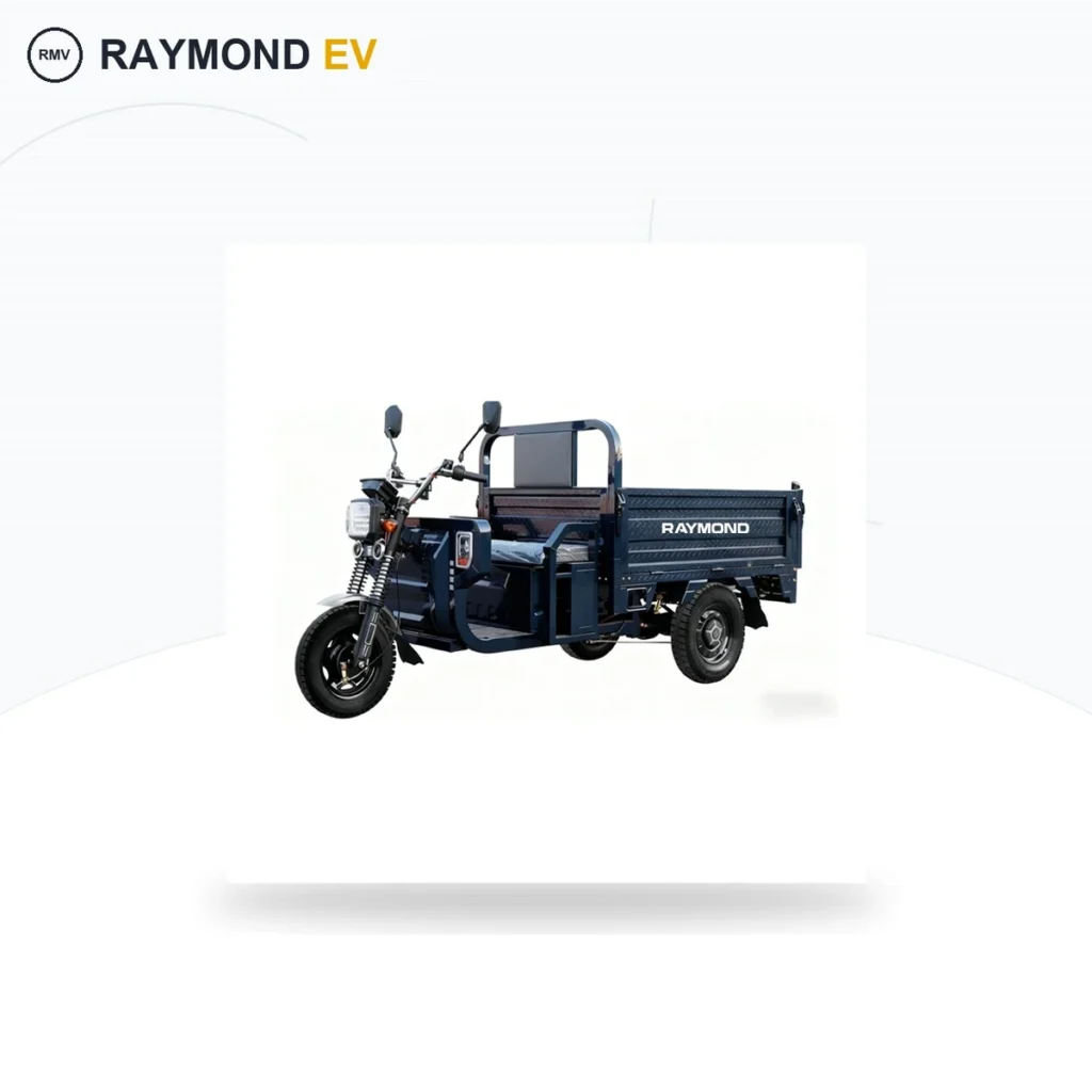 Raymon Cargo Electric Tricycle 0177