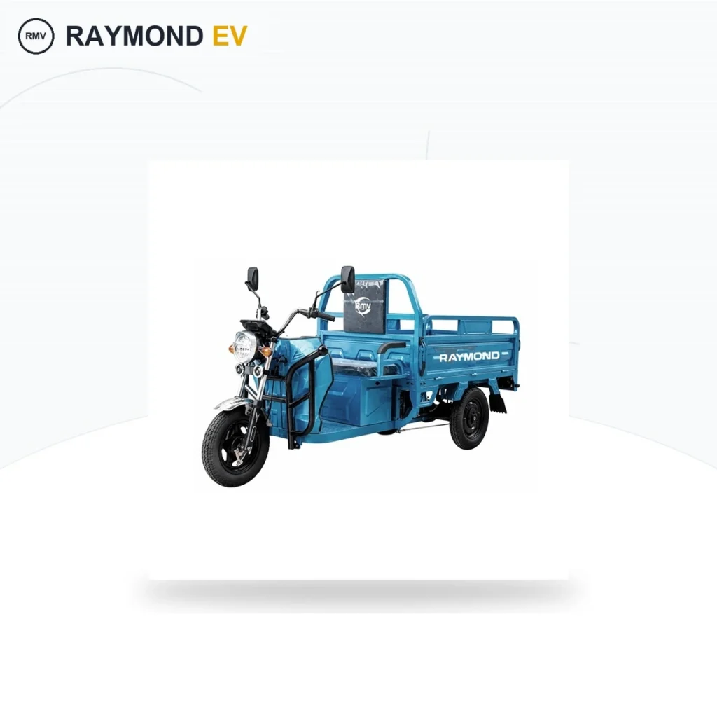 Raymon Cargo Electric Tricycle 0178