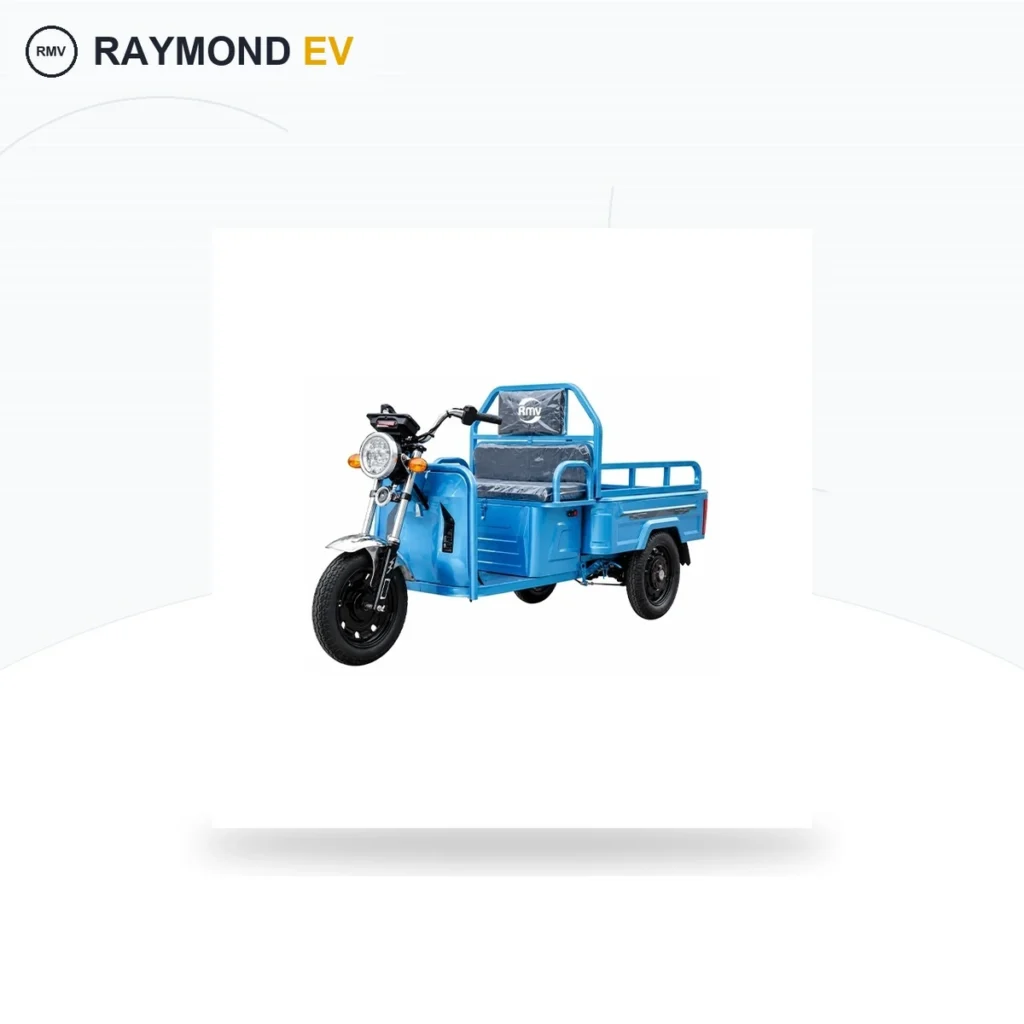 Raymon Cargo Electric Tricycle 0179