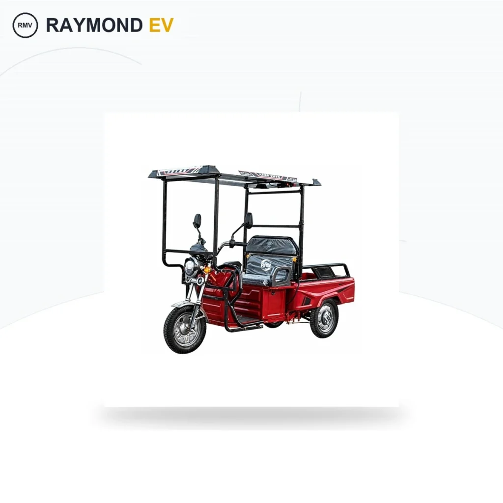 Raymon Cargo Electric Tricycle 0180