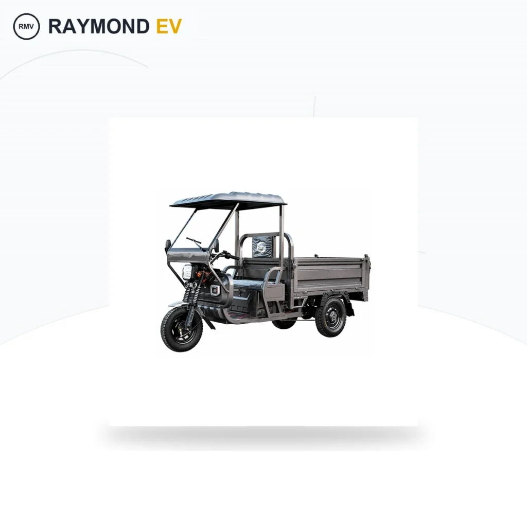 Raymon Cargo Electric Tricycle 0181