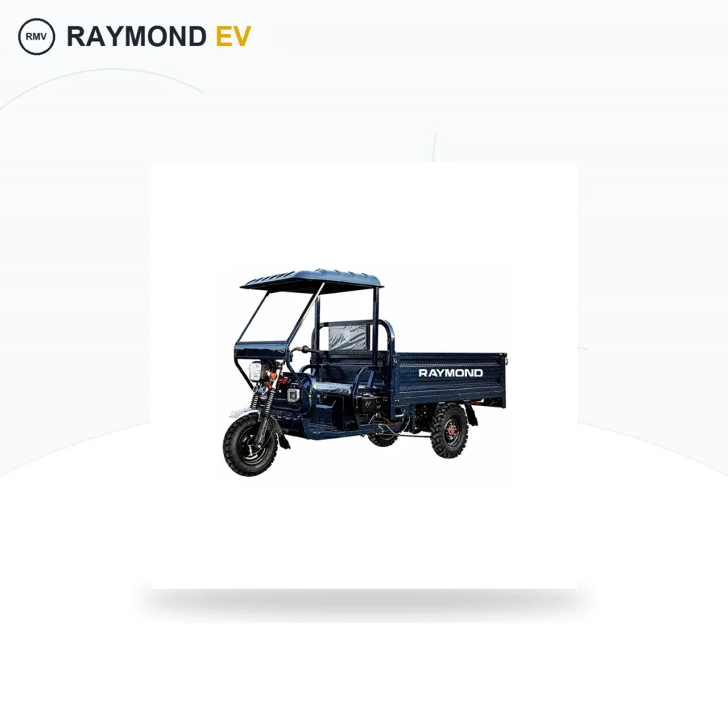 Raymon Cargo Electric Tricycle 0182