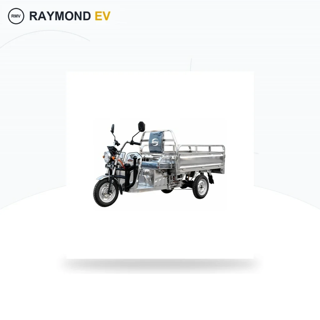 Raymon Cargo Electric Tricycle 0183