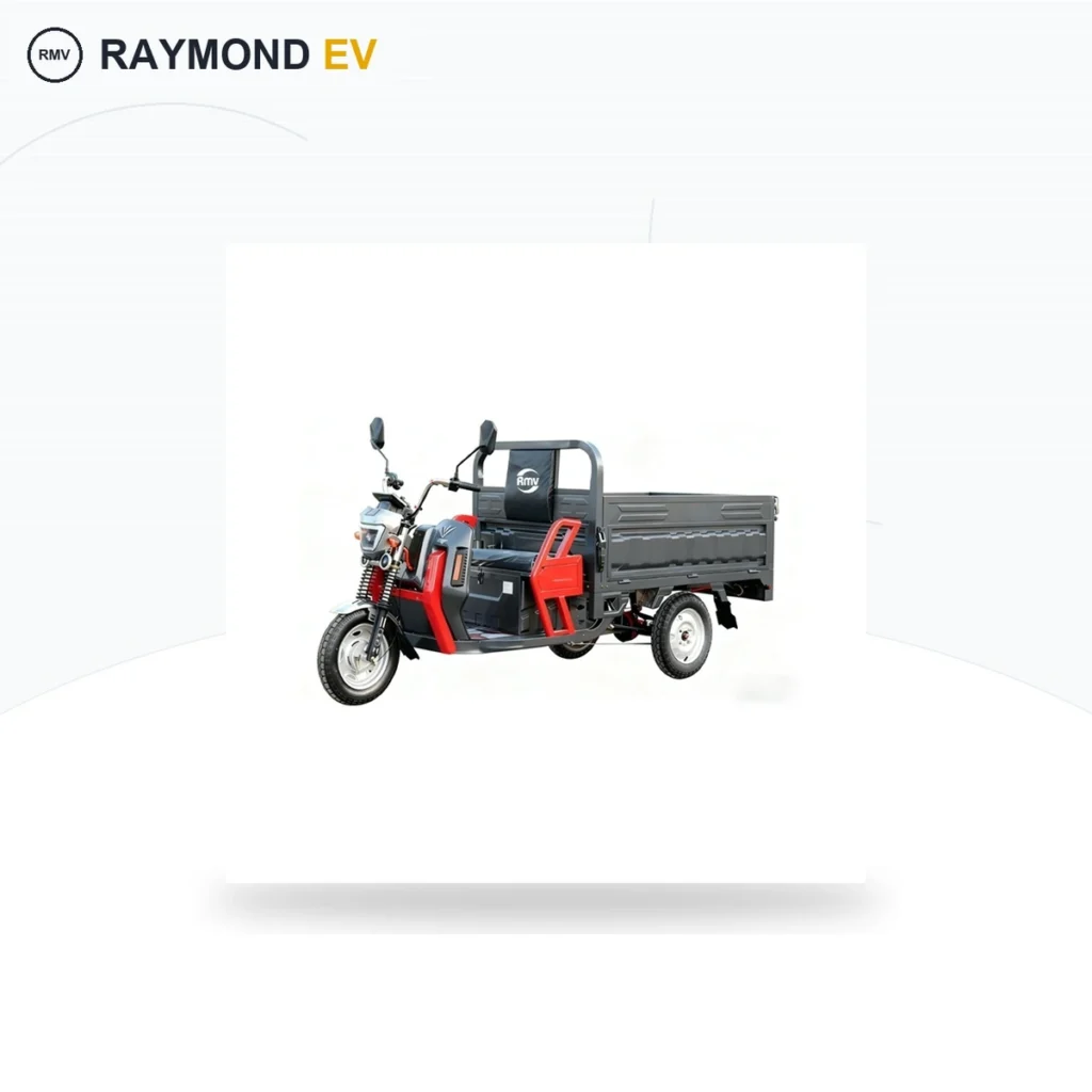 Raymon Cargo Electric Tricycle 0184