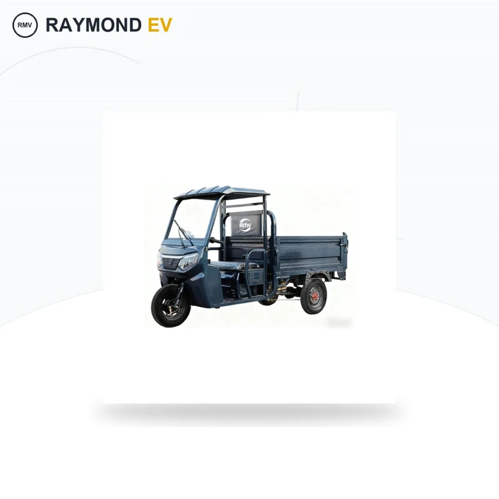 Raymon Cargo Electric Tricycle 0186