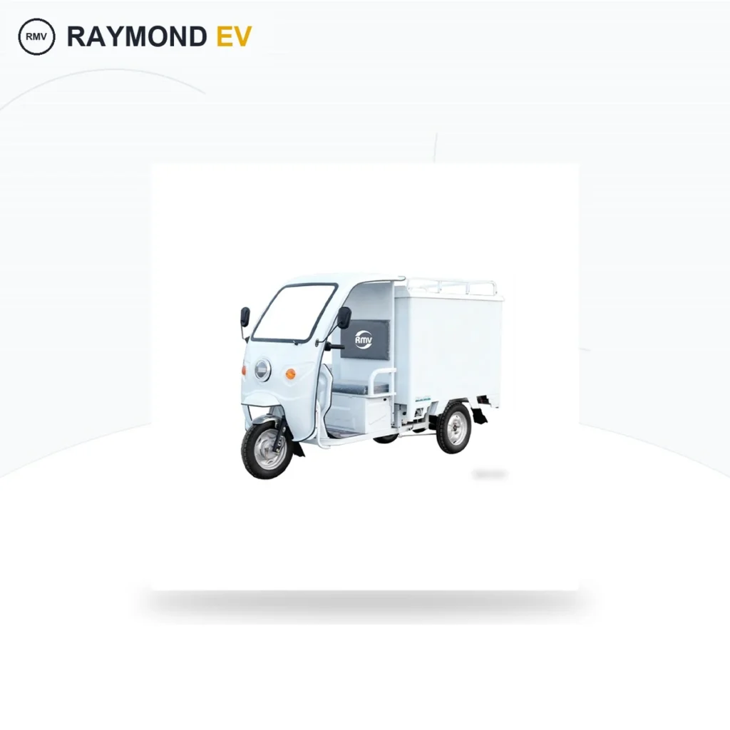 Raymon Cargo Electric Tricycle 0187
