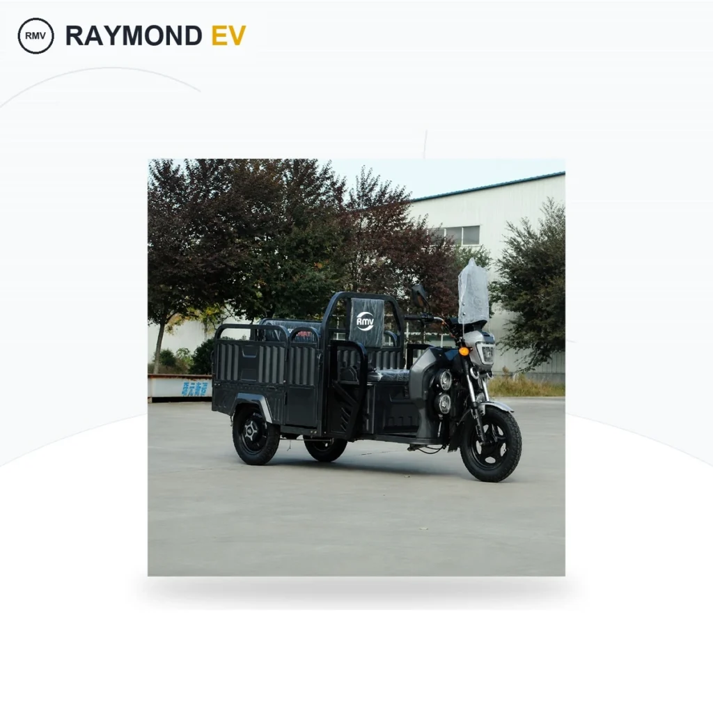Raymon Cargo Electric Tricycle 0188