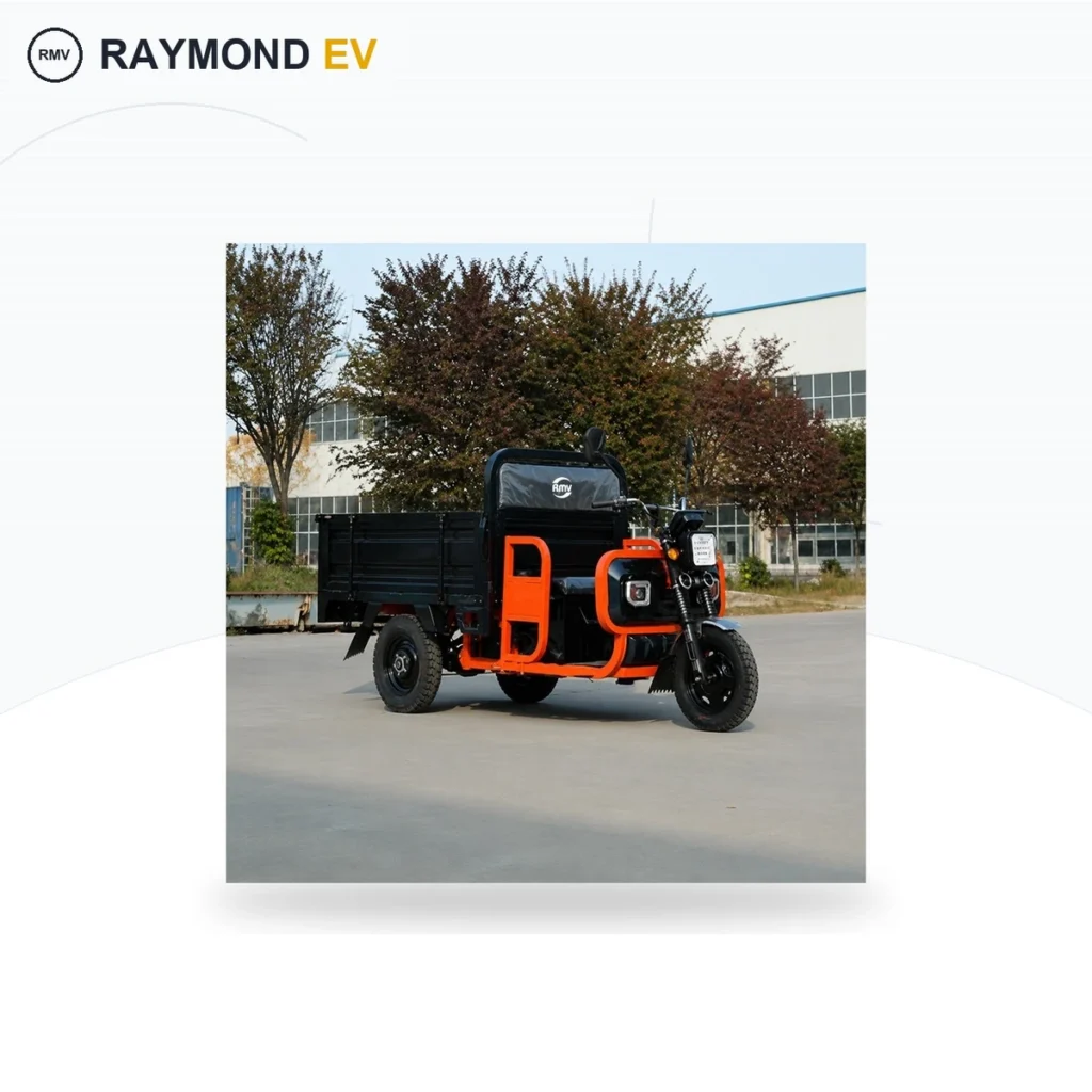 Raymon Cargo Electric Tricycle 0189