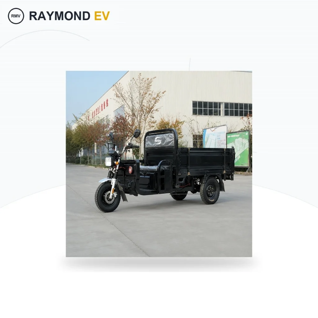 Raymon Cargo Electric Tricycle 0190