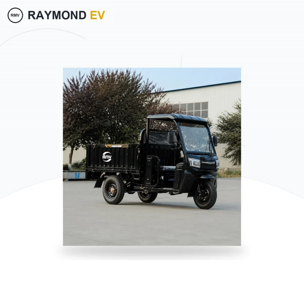 Raymon Cargo Electric Tricycle 0191