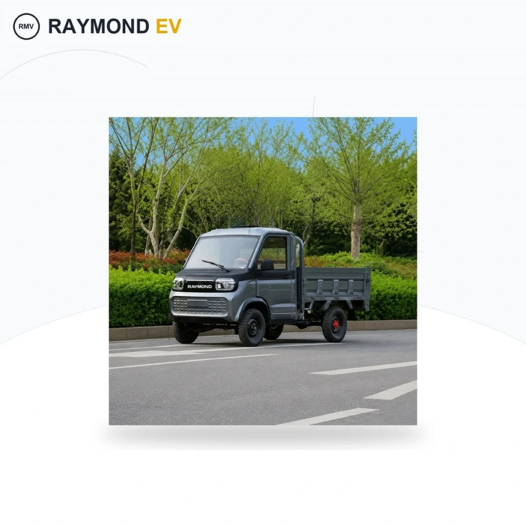 Raymon Cargo Electric Tricycle 0194