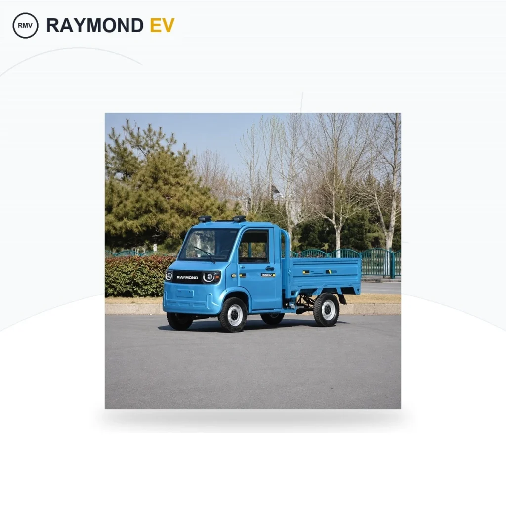 Raymon Cargo Electric Tricycle 0195