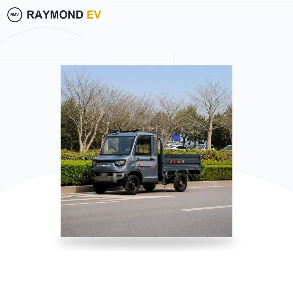 Raymon Cargo Electric Tricycle 0196