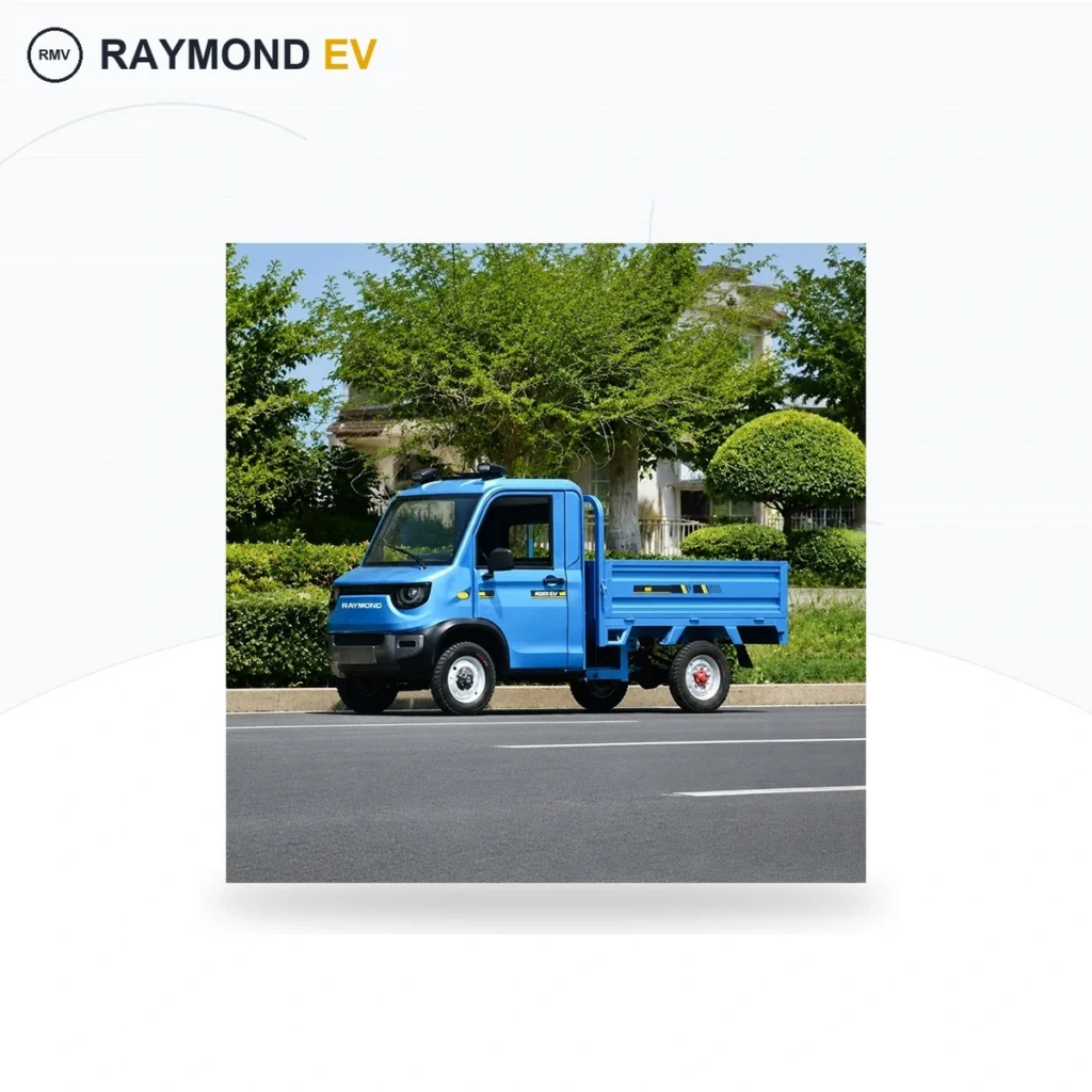 Raymon Cargo Electric Tricycle 0197