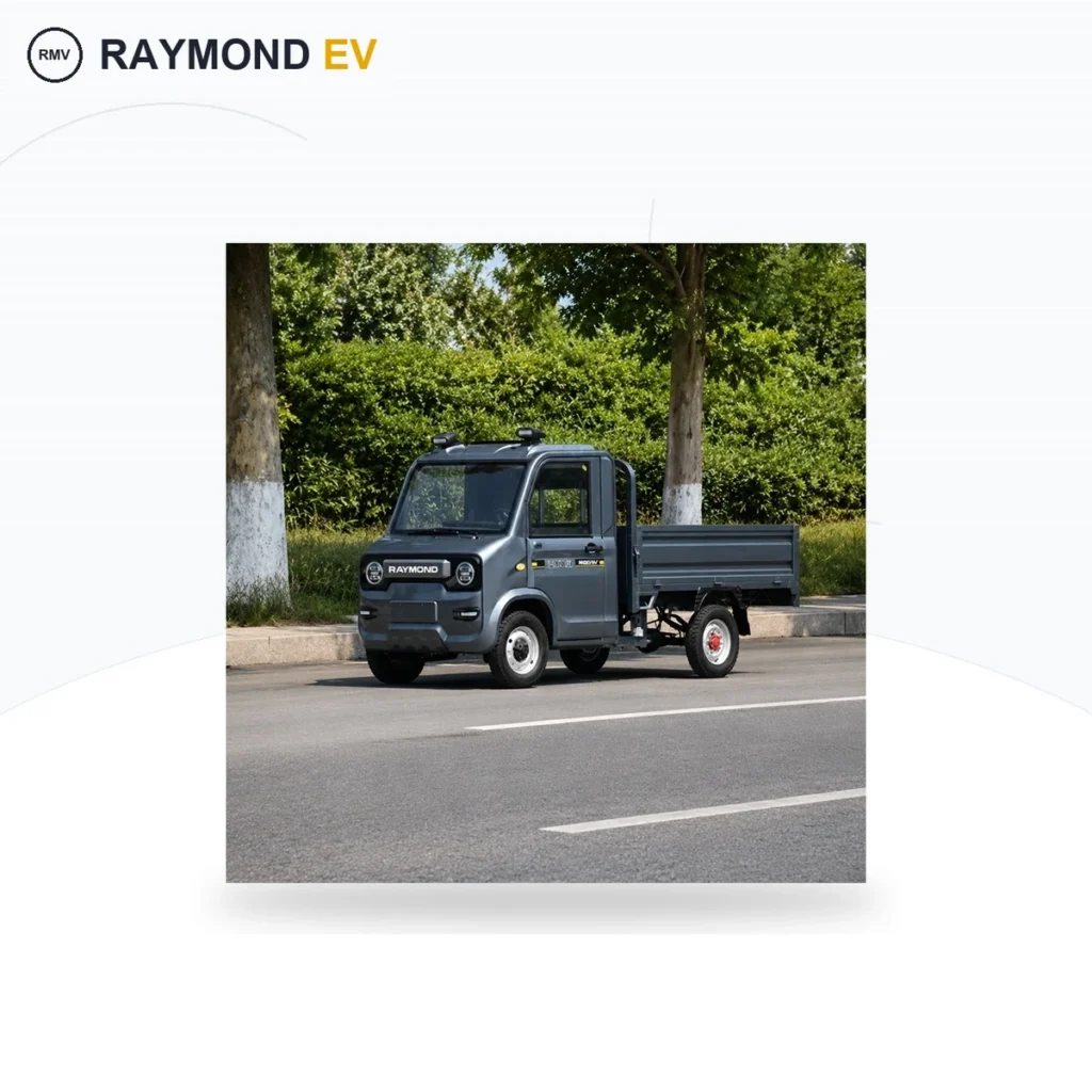 Raymon Cargo Electric Tricycle 0198