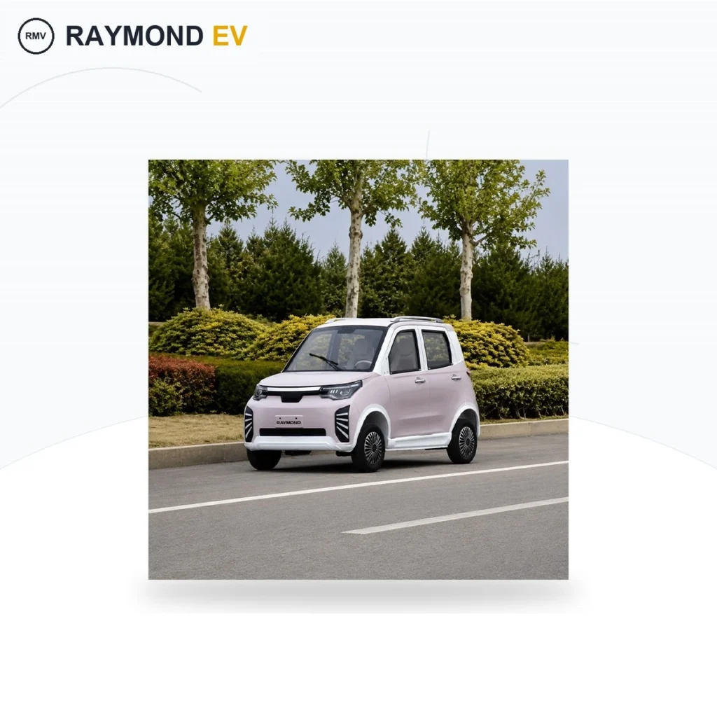 Raymon Cargo Electric Tricycle 0199