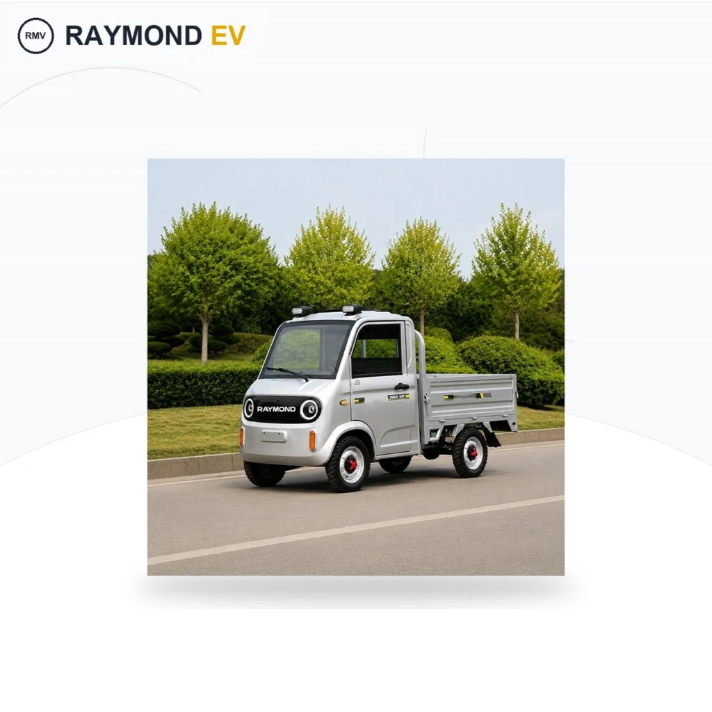 Raymon Cargo Electric Tricycle 0200