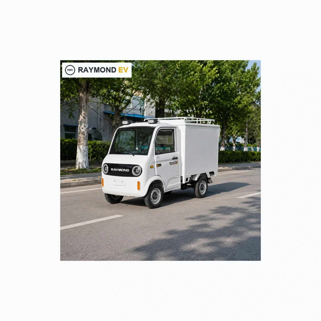 Raymon Cargo Electric Tricycle 0201