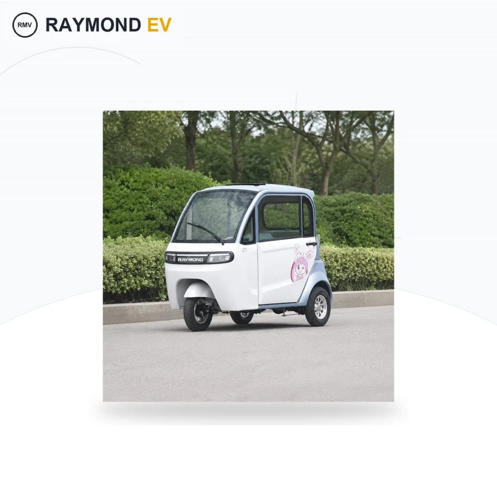 Raymon Cargo Electric Tricycle 0202