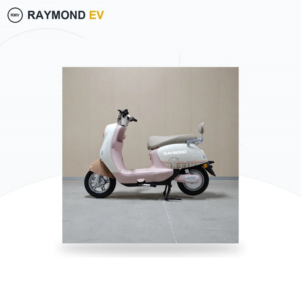 Raymon Motorcycle-Style Tricycle 0100