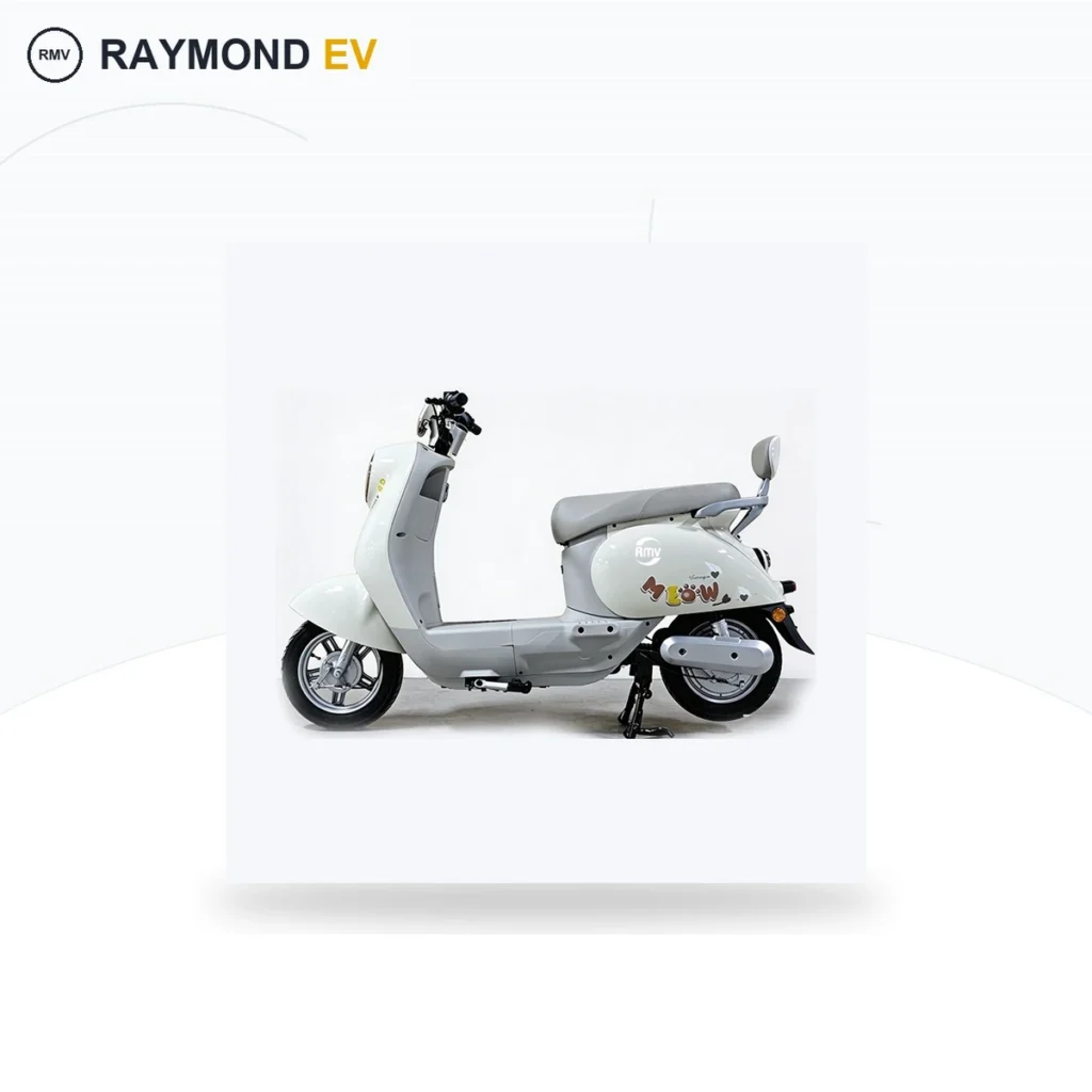 Raymon Motorcycle-Style Tricycle 0103