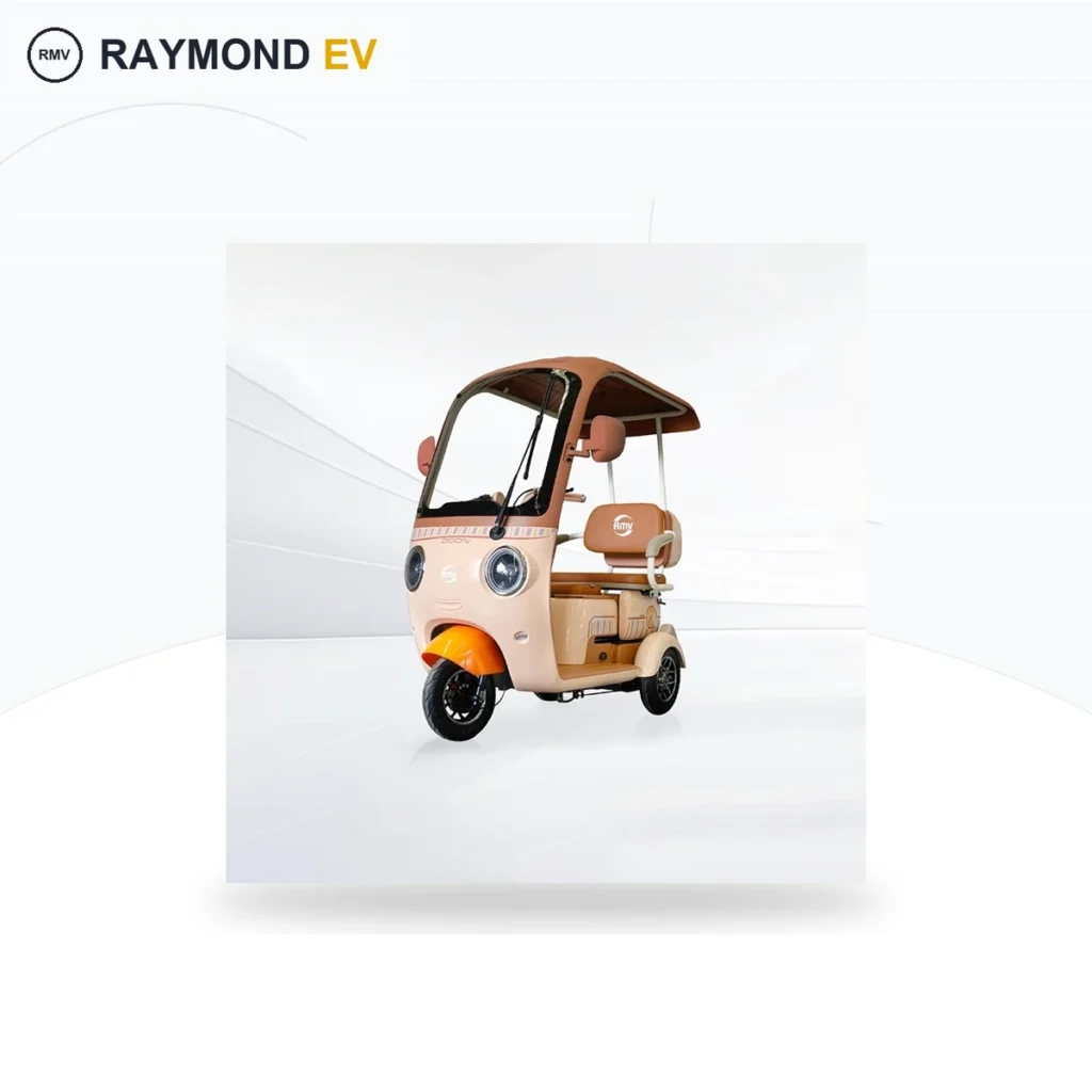 Raymon Passenger Leisure Tricycle 0124