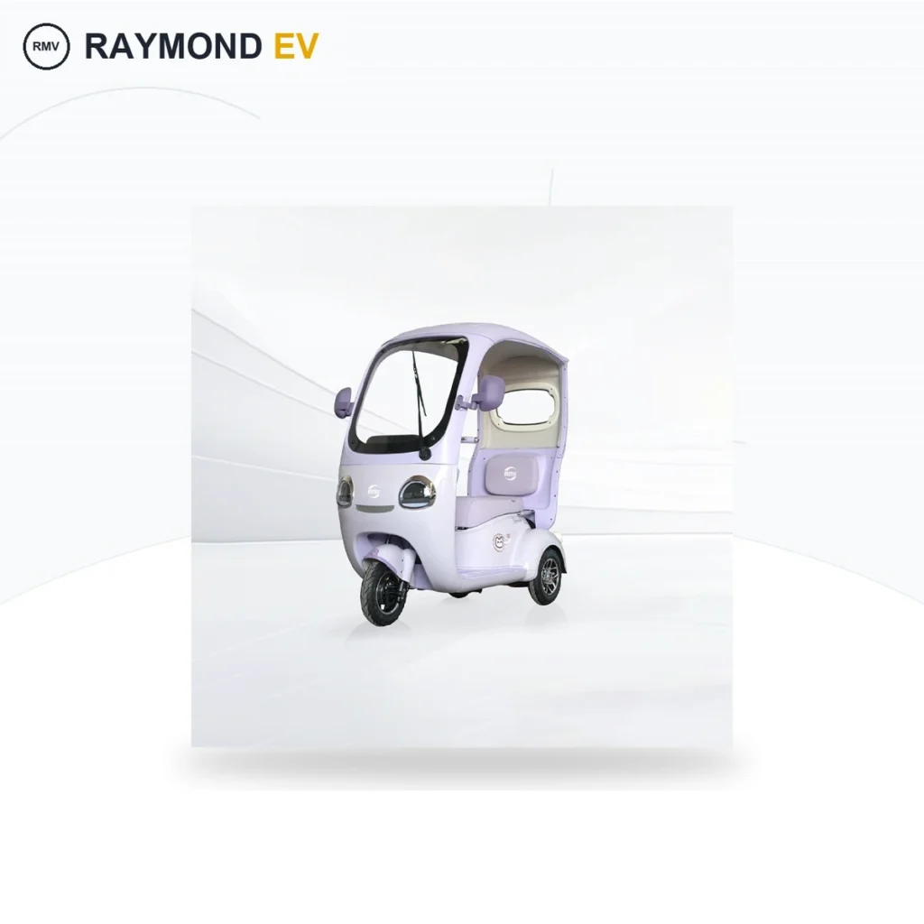 Raymon Passenger Leisure Tricycle 0126
