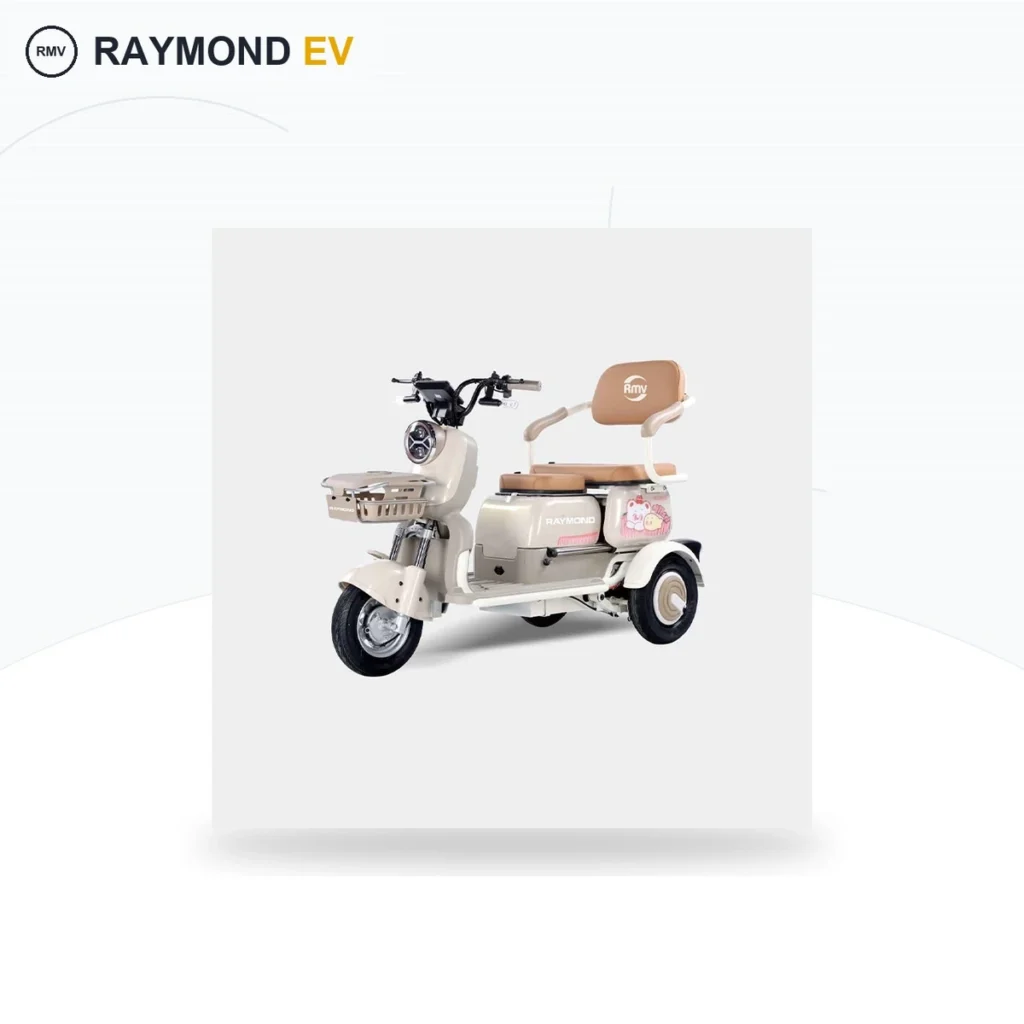Raymon Passenger Leisure Tricycle 0151