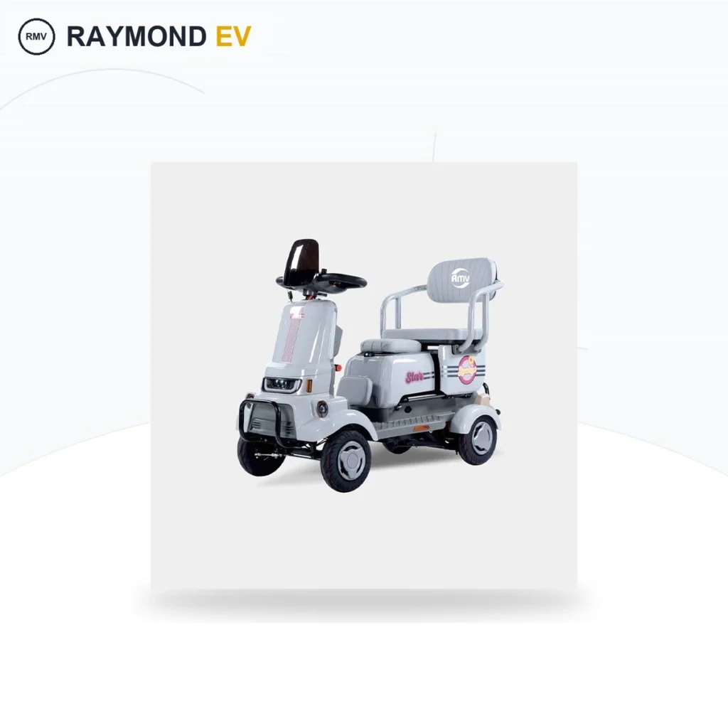Raymon Passenger Leisure Tricycle 0152