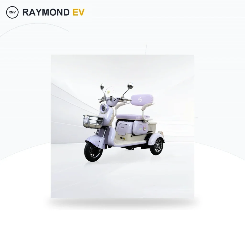 Raymon Passenger Leisure Tricycle 0153