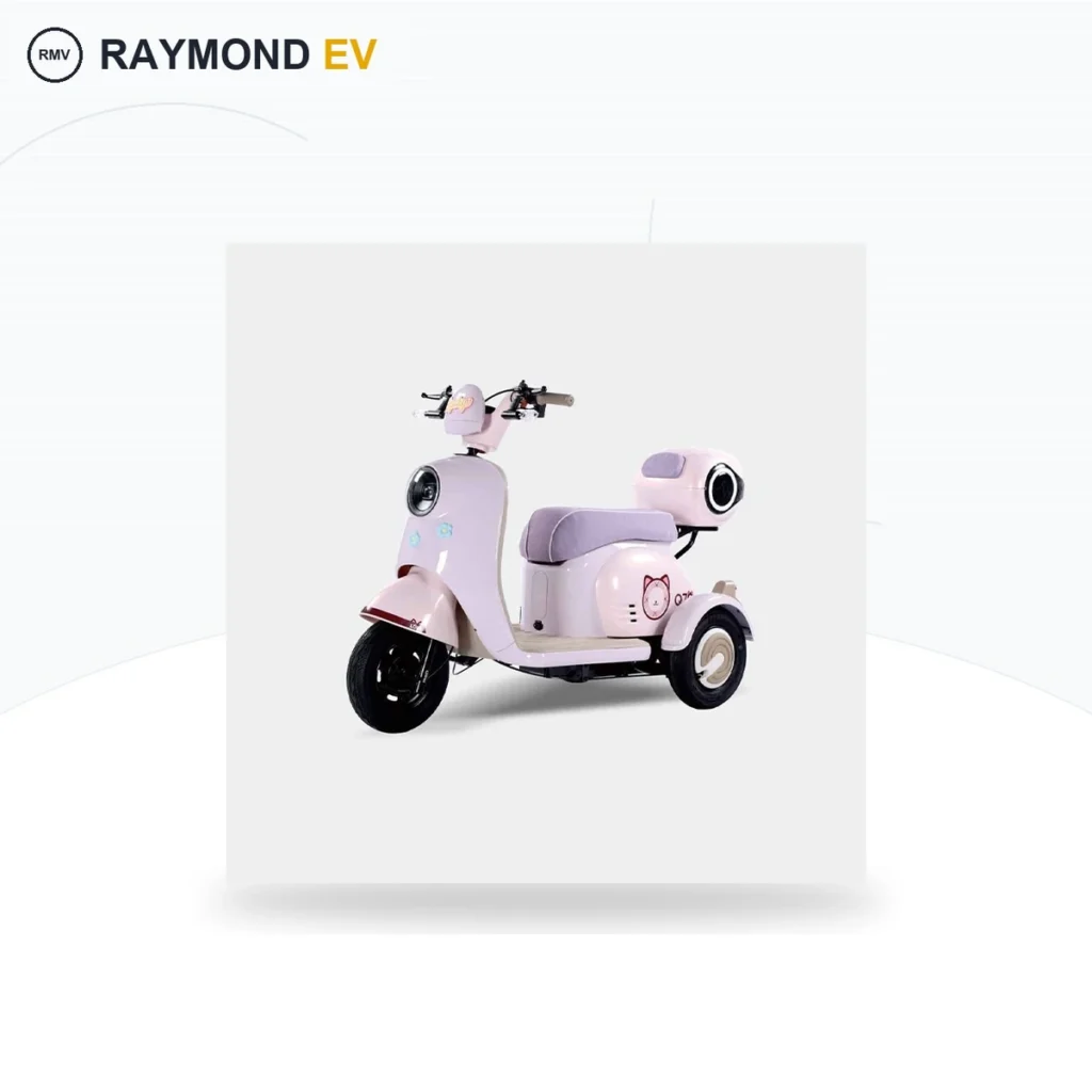 Raymon Passenger Leisure Tricycle 0161