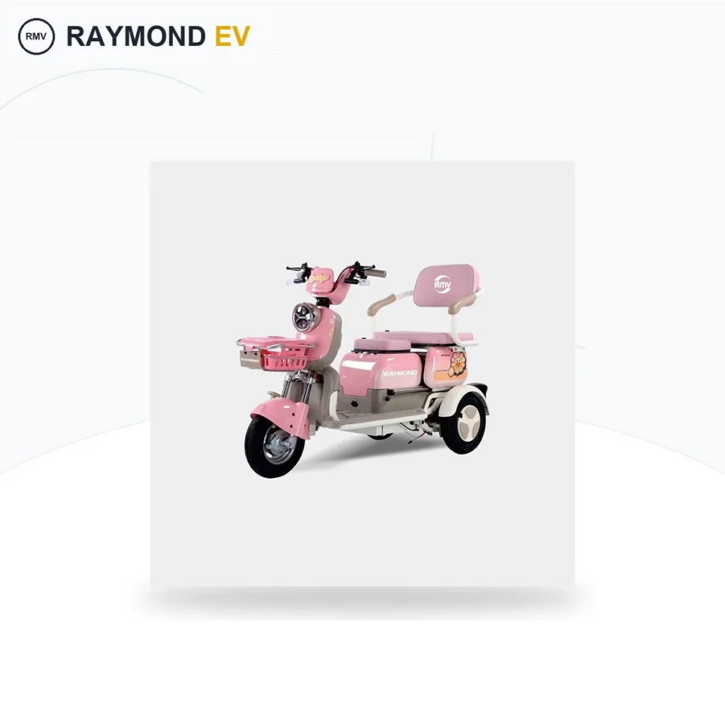 Raymon Passenger Leisure Tricycle 0163