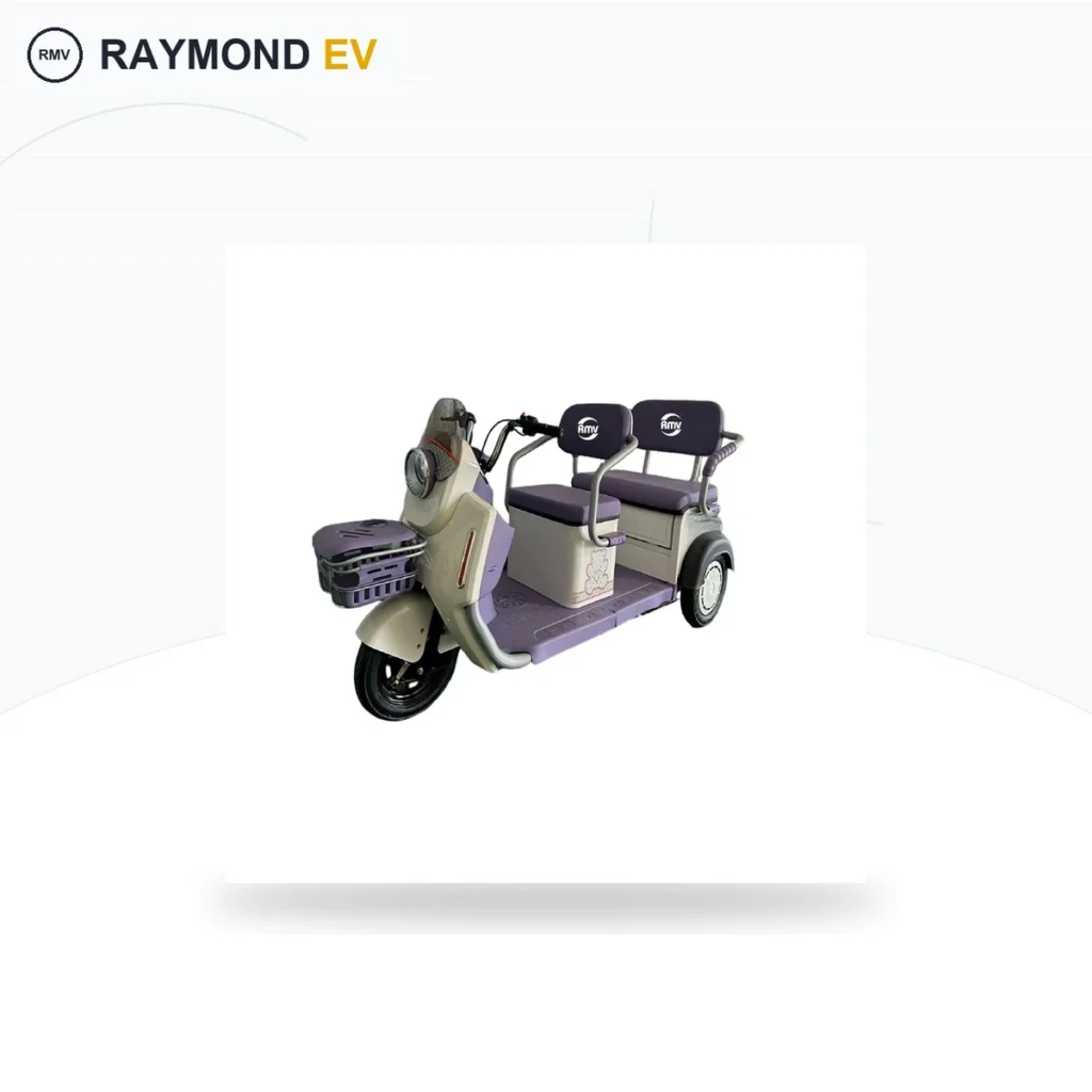 Raymon Passenger Leisure Tricycle 0253