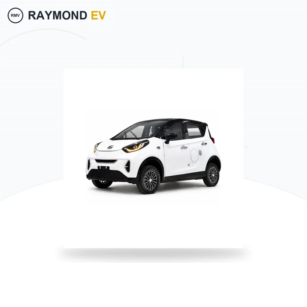 Raymon Passenger Leisure Tricycle 0263