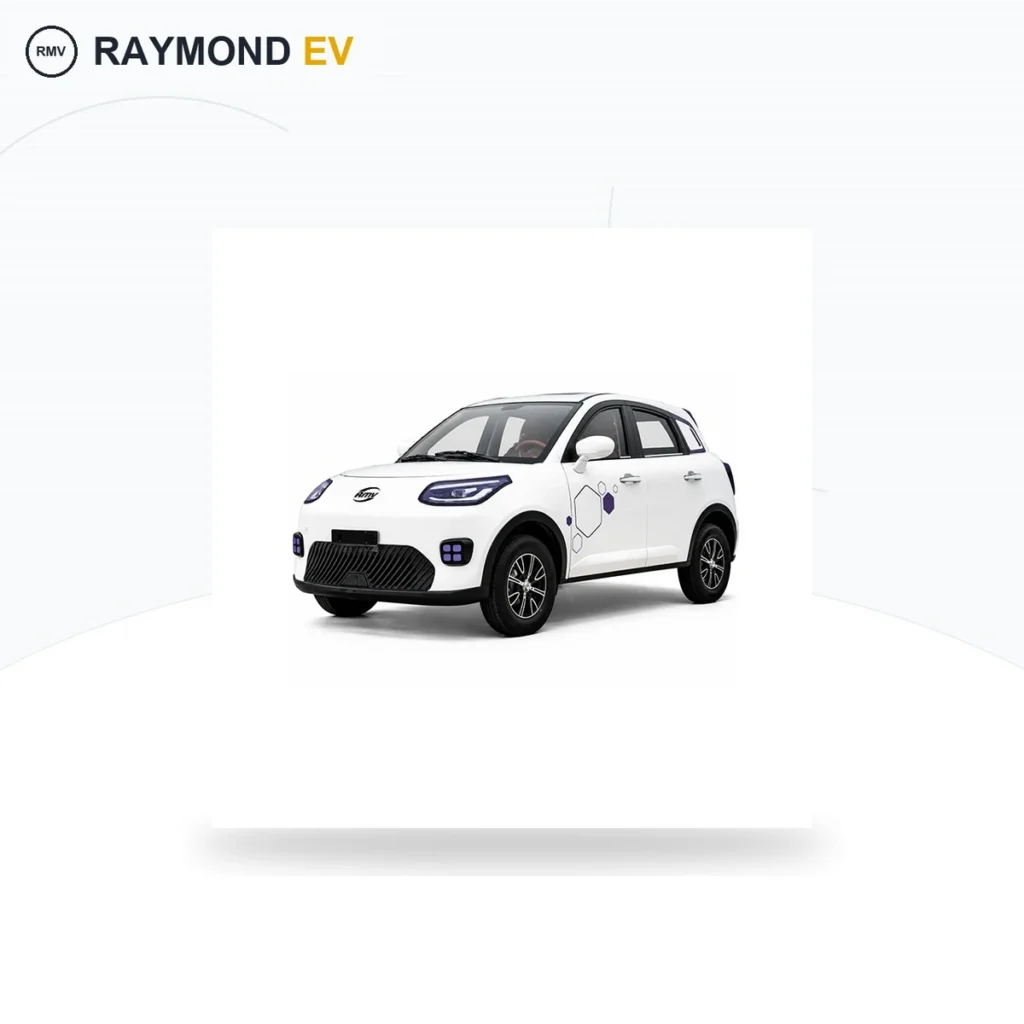 Raymon Passenger Leisure Tricycle 0264