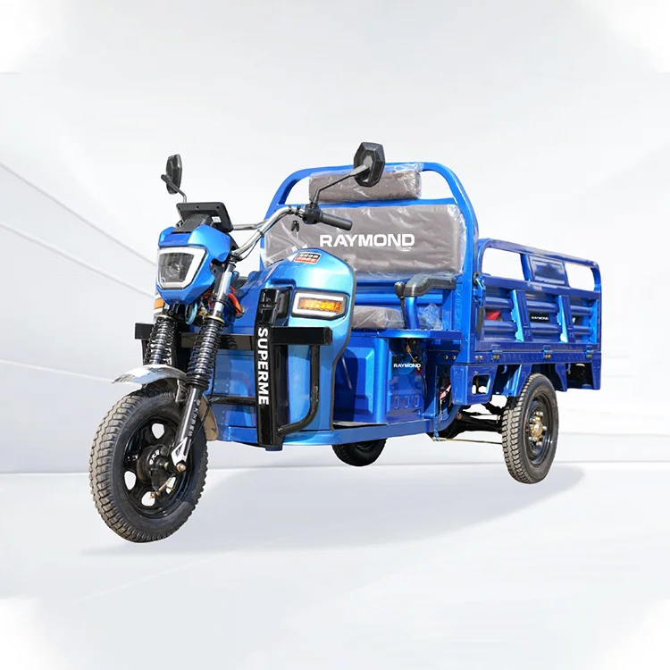 Cargo electric tricycle for commercial transport