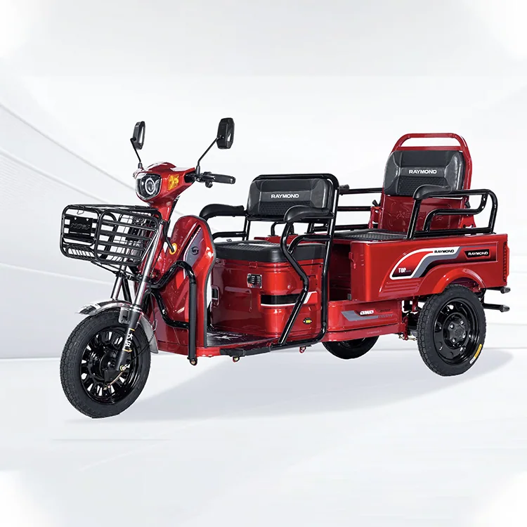 Passenger and leisure electric tricycle model