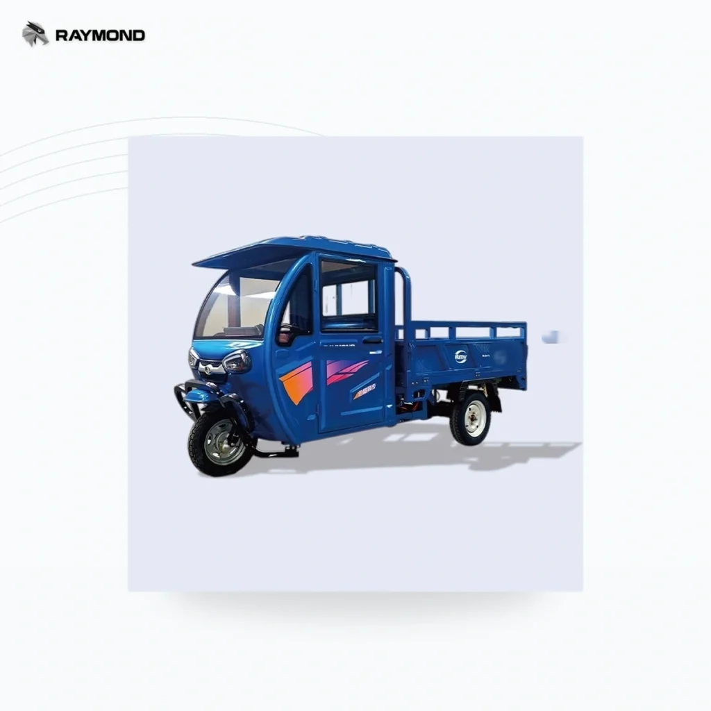 Raymon Cargo Electric Tricycle 0001