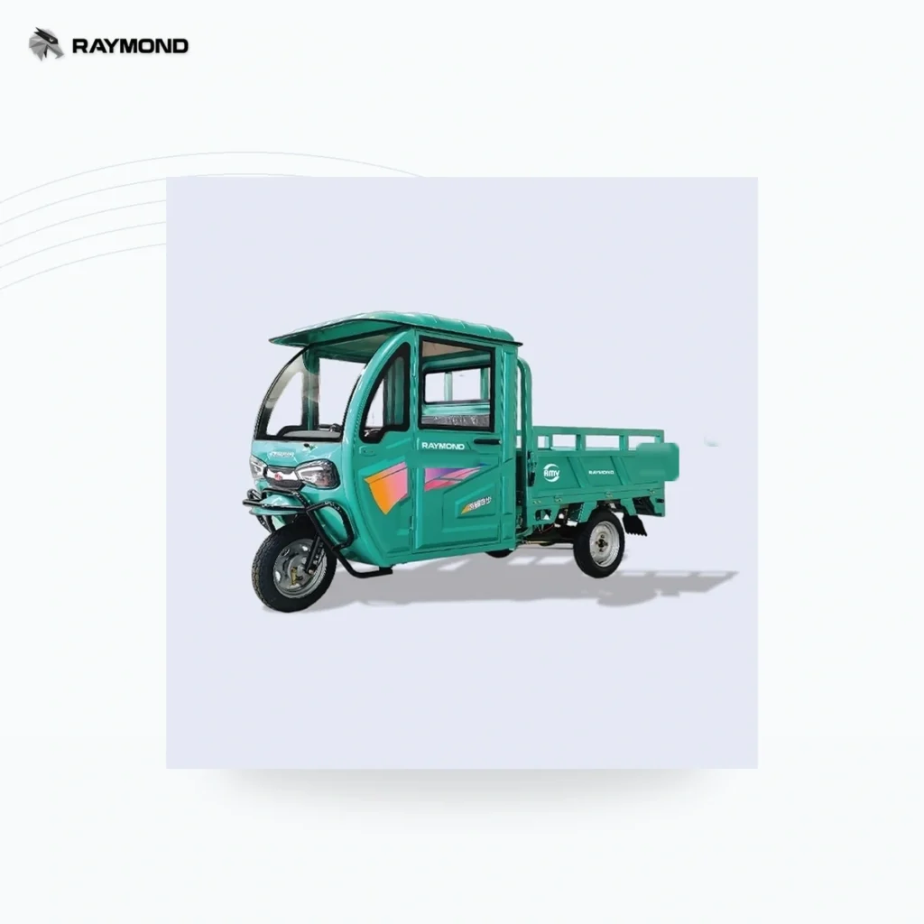 Raymon Cargo Electric Tricycle 0003