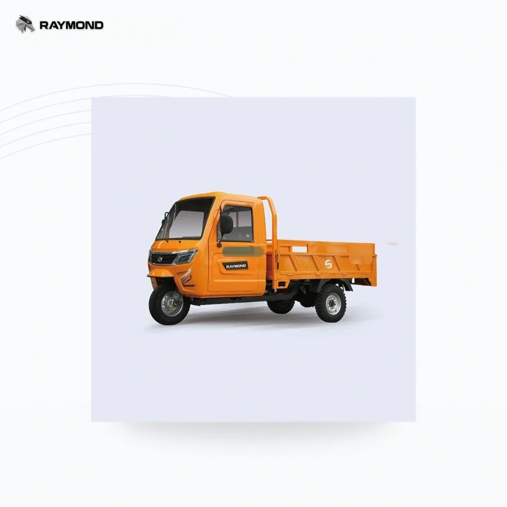 Raymon Cargo Electric Tricycle 0005