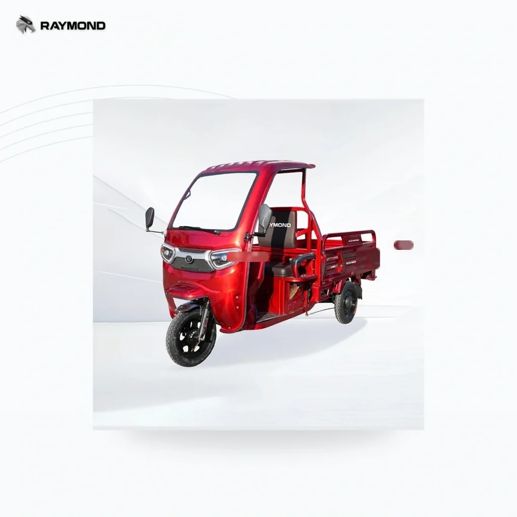 Raymon Cargo Electric Tricycle 0006