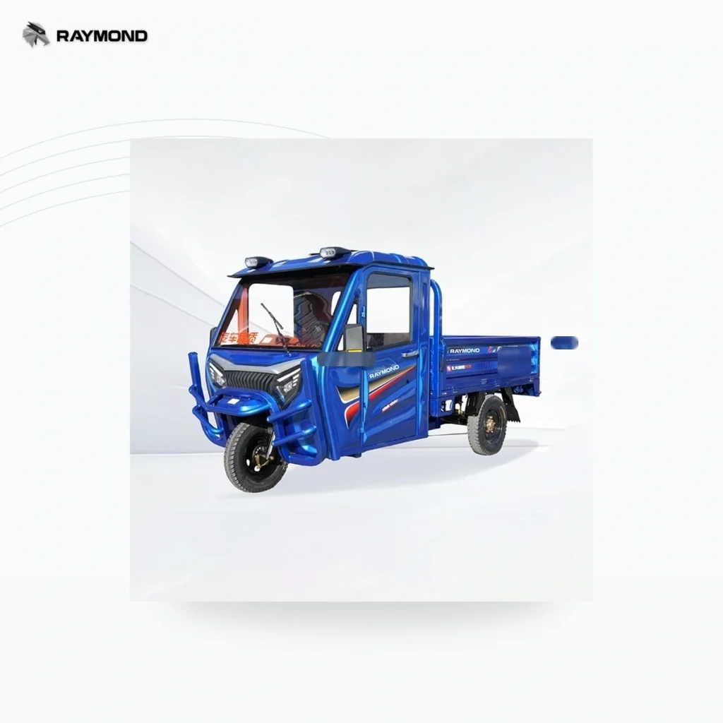 Raymon Cargo Electric Tricycle 0007