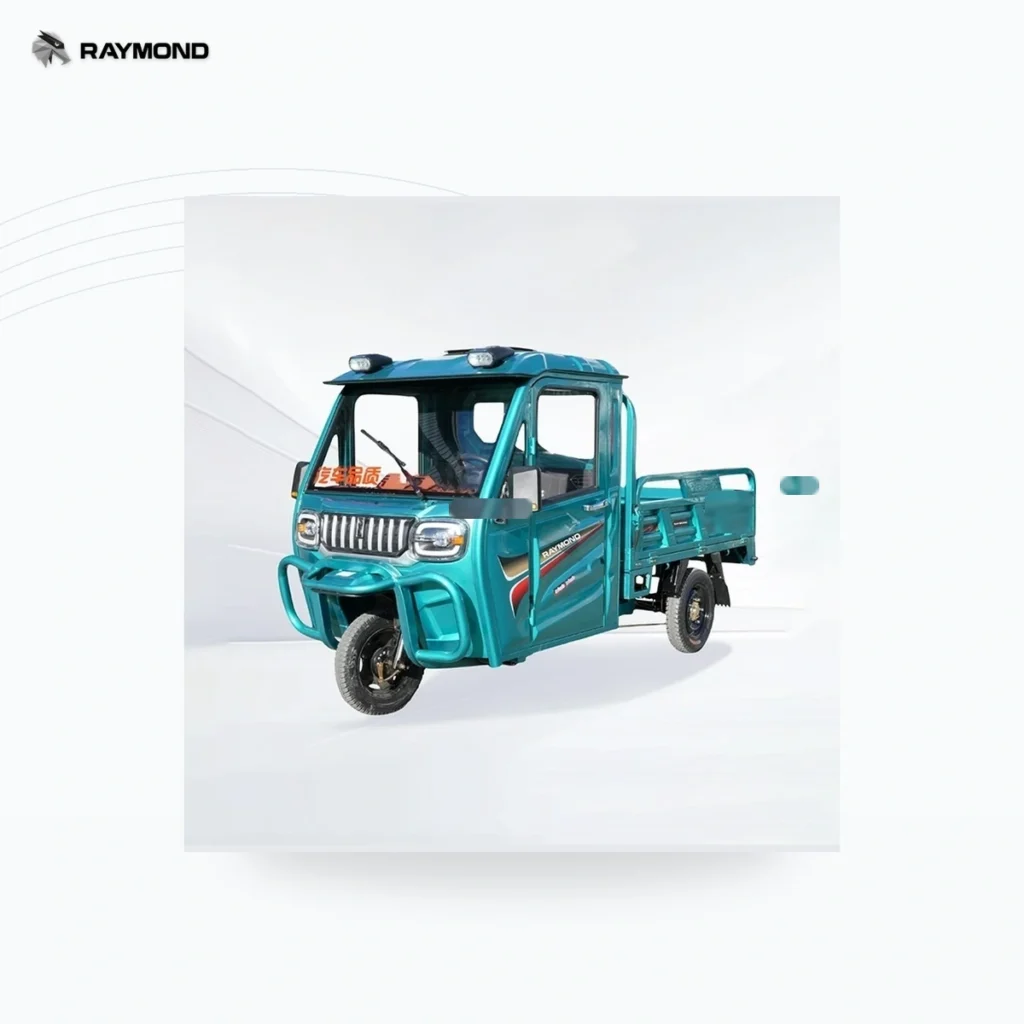 Raymon Cargo Electric Tricycle 0008
