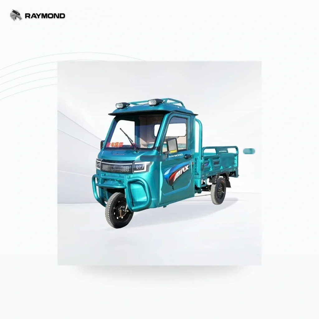 Raymon Cargo Electric Tricycle 0009
