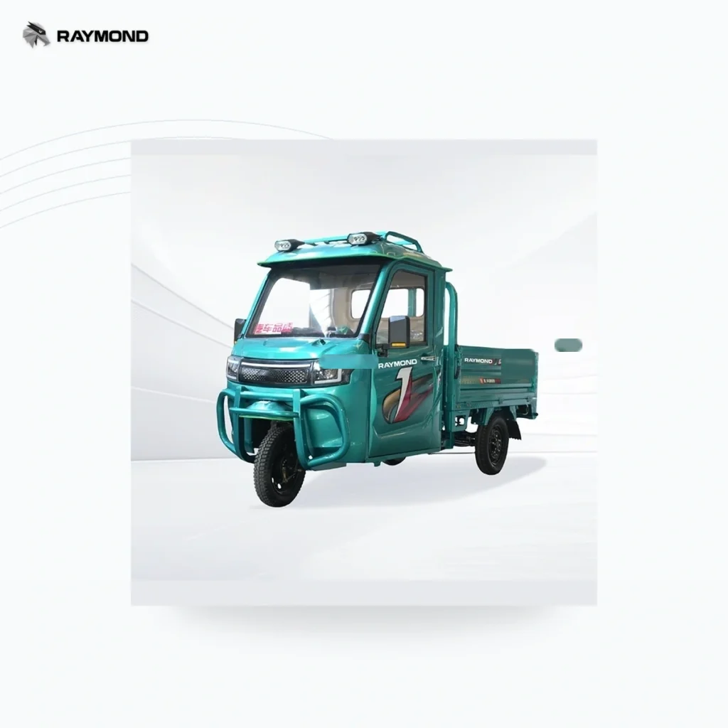 Raymon Cargo Electric Tricycle 0010