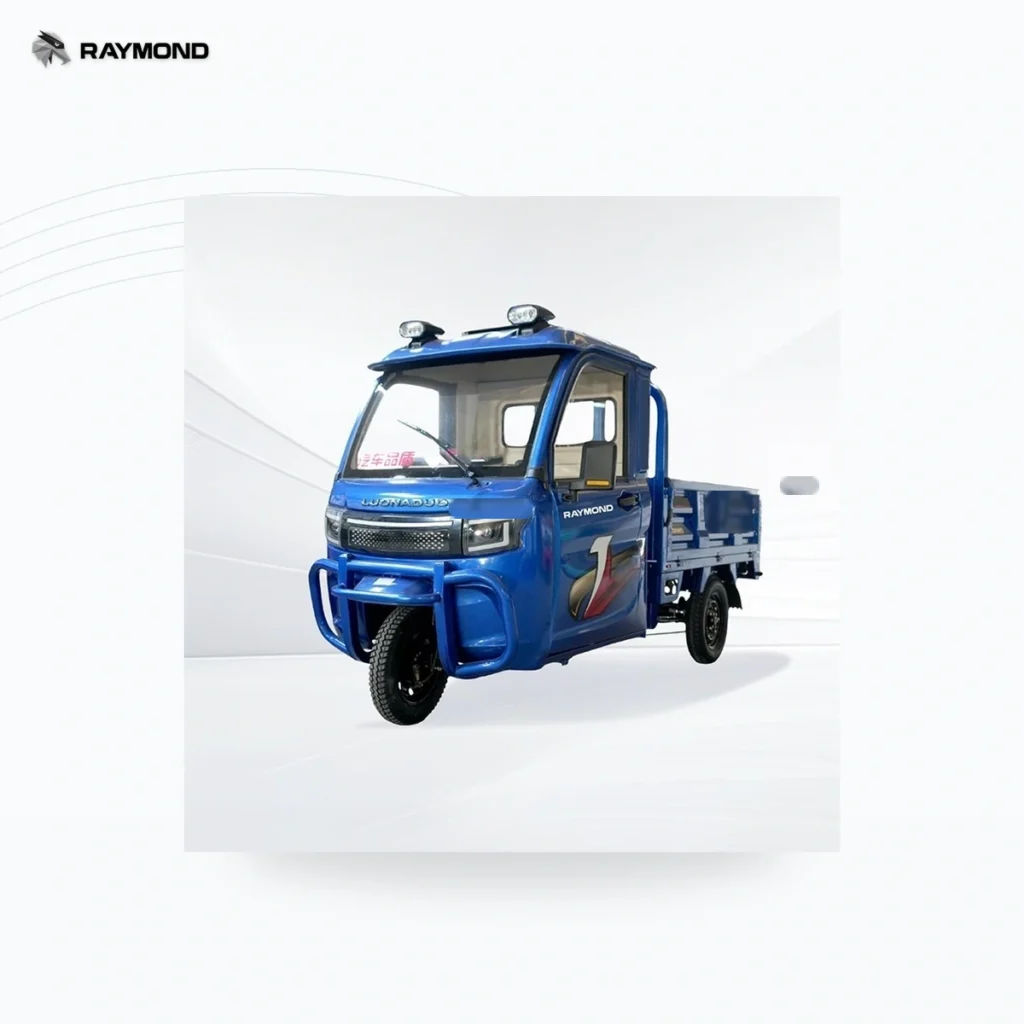 Raymon Cargo Electric Tricycle 0011