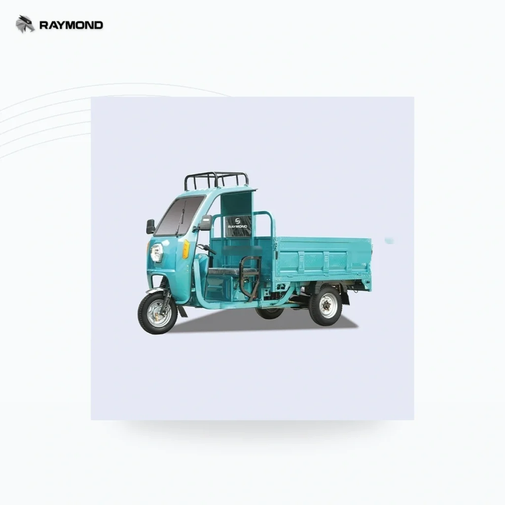 Raymon Cargo Electric Tricycle 0012
