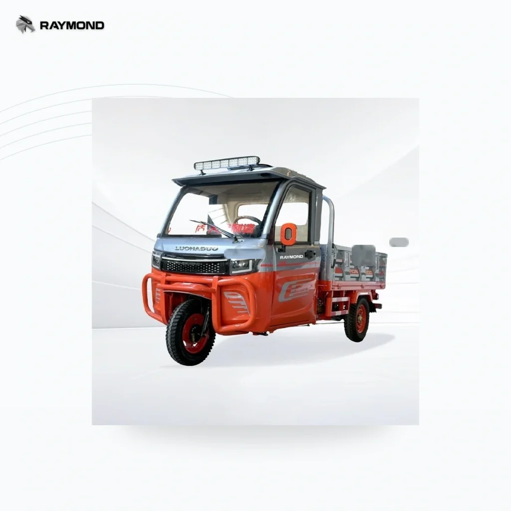 Raymon Cargo Electric Tricycle 0013