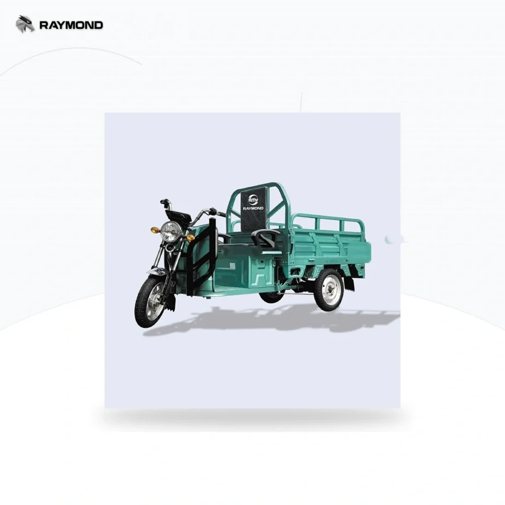 Raymon Cargo Electric Tricycle 0014